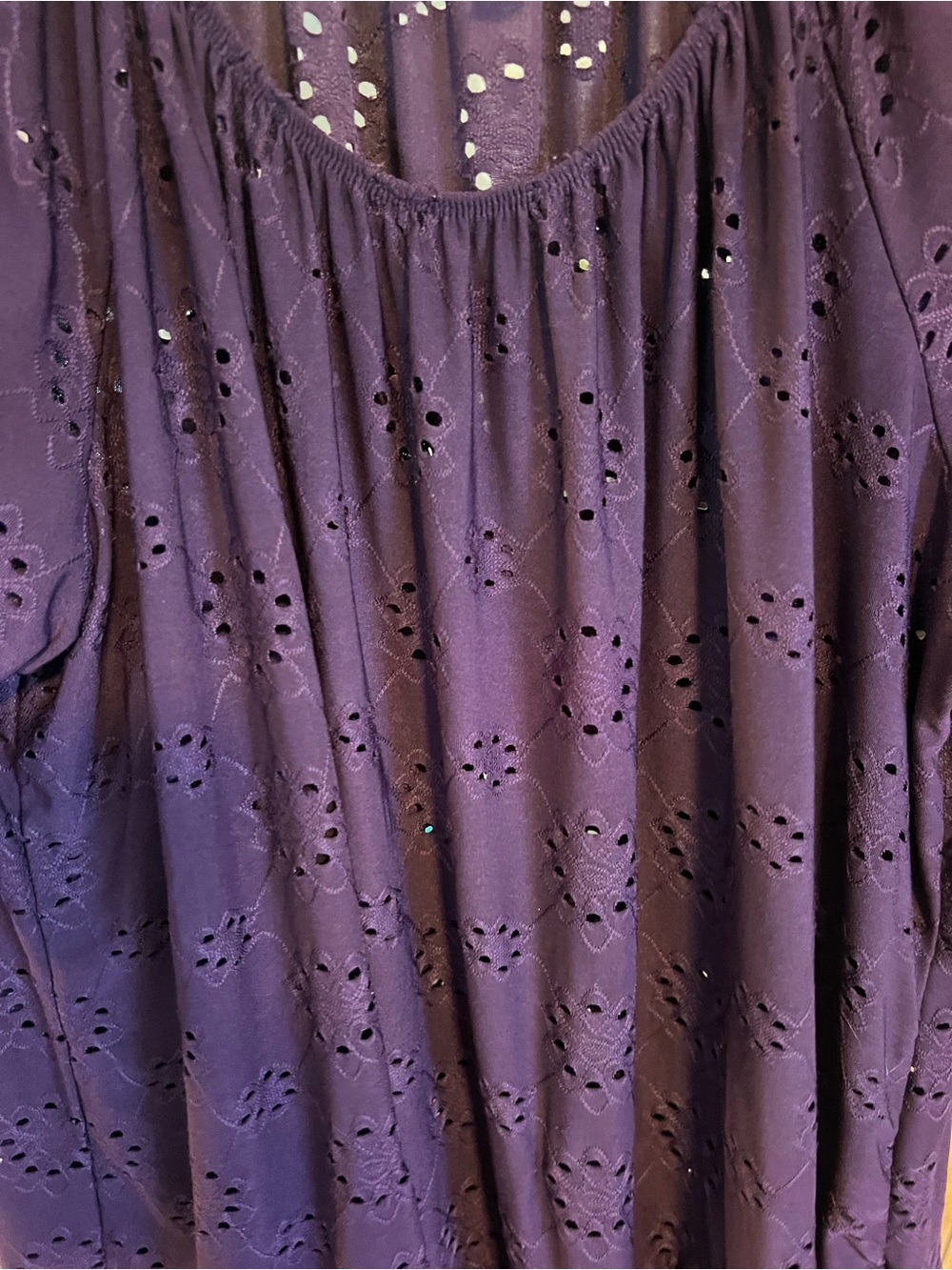 Perceptions Plum Eyelet Peasant Top